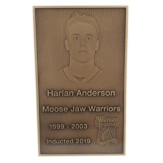 Bronze Rectangle Plaques