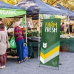 X Banner Stand 1