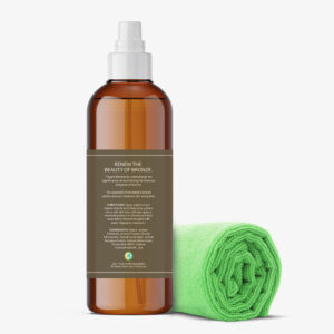 Bronze Cleaner Back
