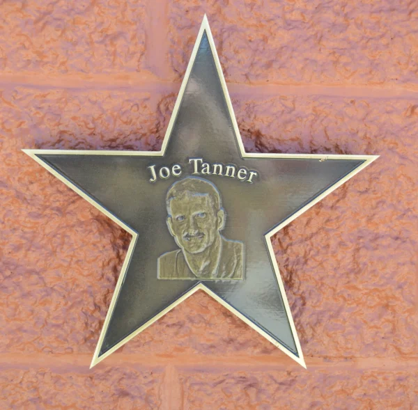 Custom Five-Point Star Shaped Bronze Plaque with Bas-Relief Portrait and Beveled Edges