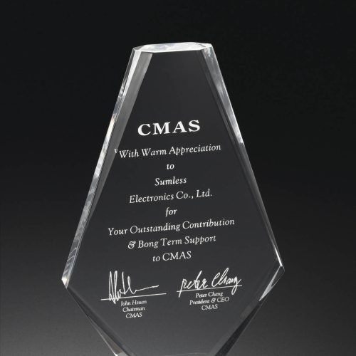 Acrylic Trophy Award