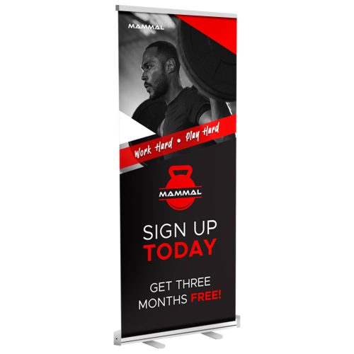 Standard Retractable Banner Realistic Sample