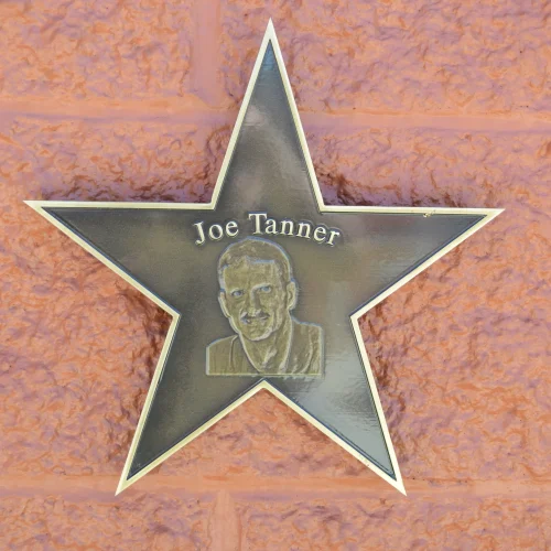 Custom Five-Point Star Shaped Bronze Plaque with Bas-Relief Portrait and Beveled Edges