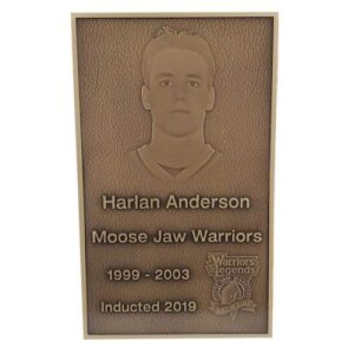 Custom Sports Hall of Fame Bronze Induction Plaque with Etched Athlete Portrait
