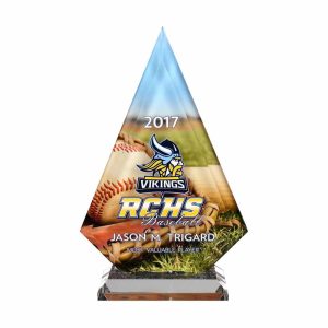 Custom Baseball Trophy Award