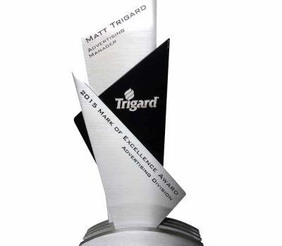 Custom Business Employee Trophy Award